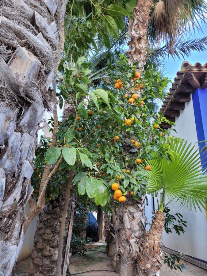 Apartament Dudek Torrevieja Esterno foto
